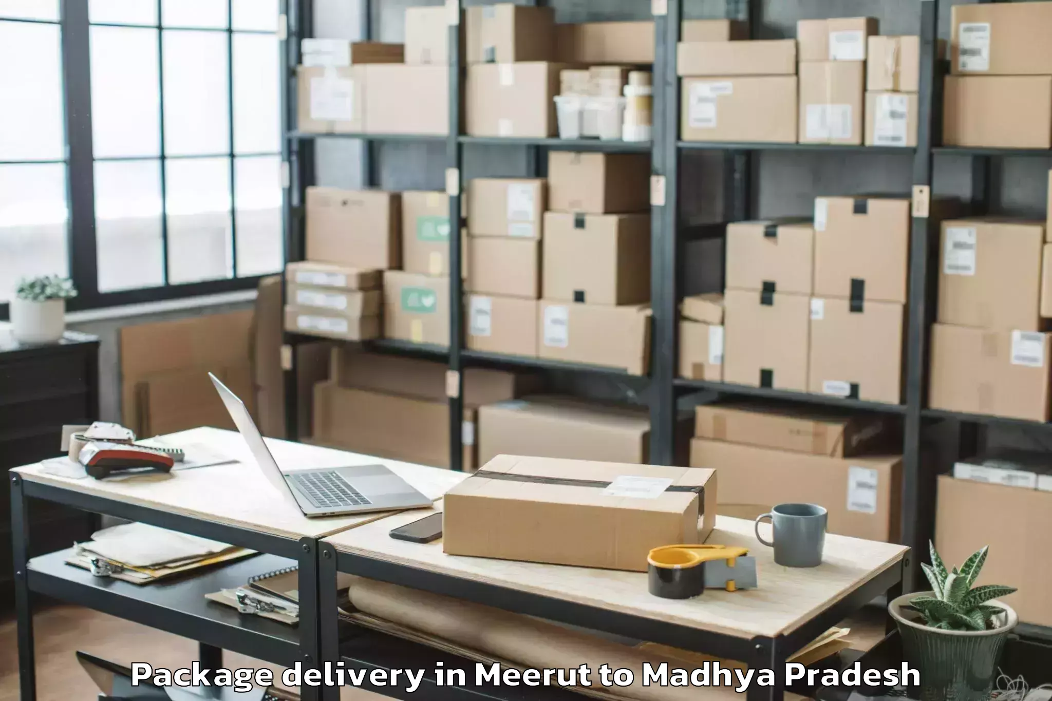 Professional Meerut to Malthon Package Delivery